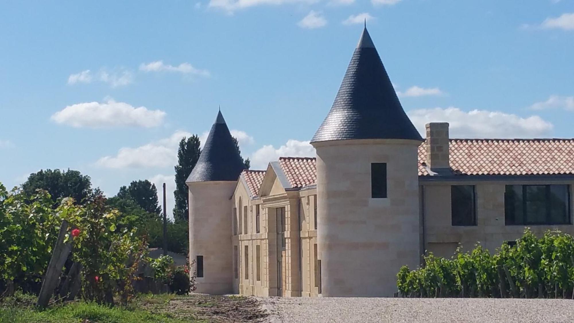 Chateau Tour Saint-Fort Chambre D'Hotes 外观 照片
